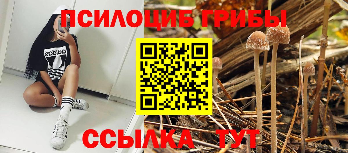 Галлюциногенные грибы Psilocybine cubensis  Вход с VPN  закладки  Белорецк  Псилоцибиновые грибы прущие грибы 